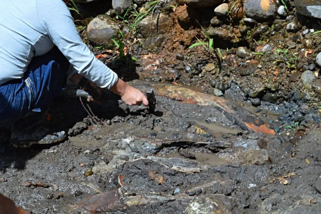 Imagen relacionada a la nota