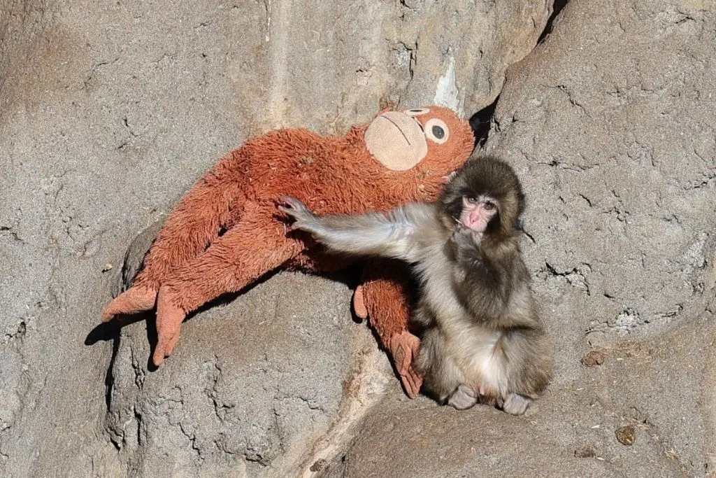 Imagen relacionada a la nota