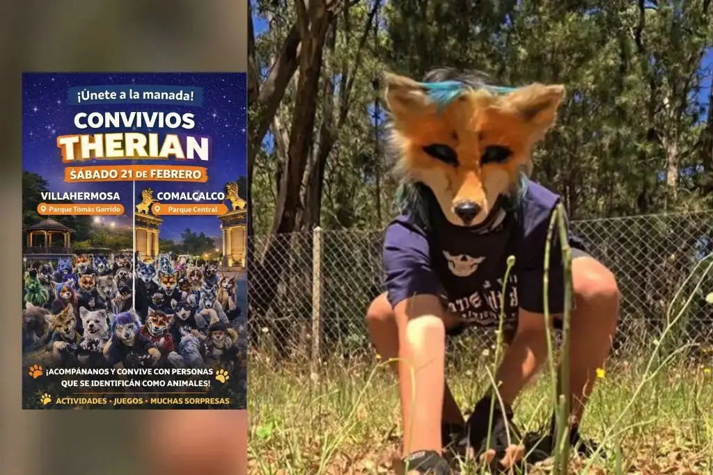 Imagen relacionada a la nota