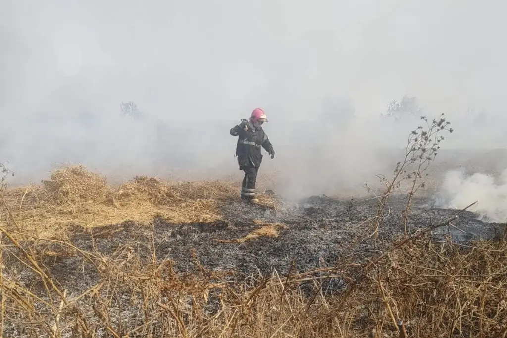 Imagen relacionada a la nota