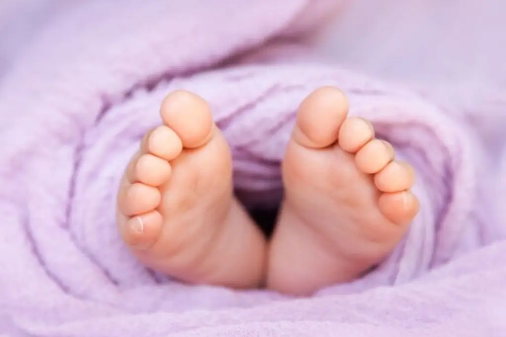 Imagen relacionada a la nota