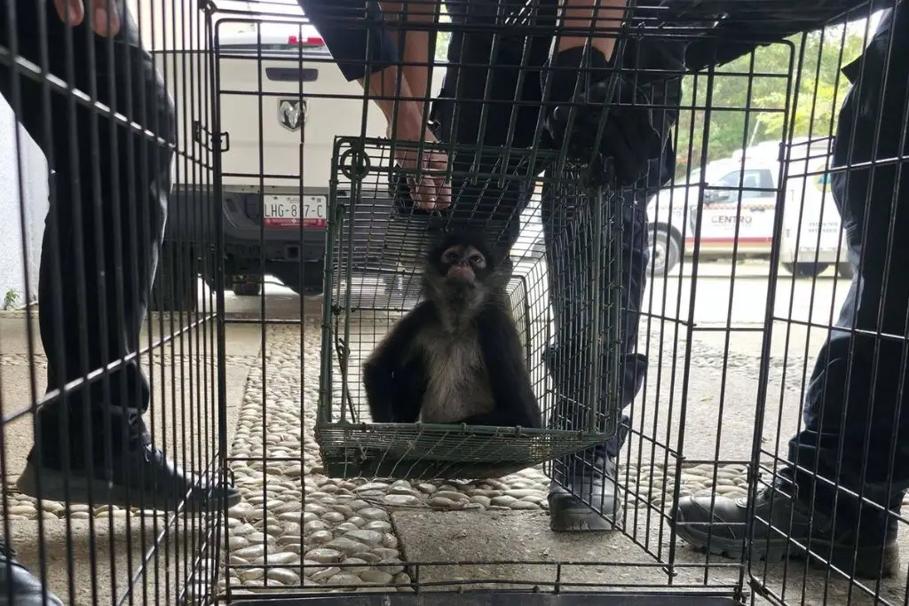 Imagen relacionada a la nota