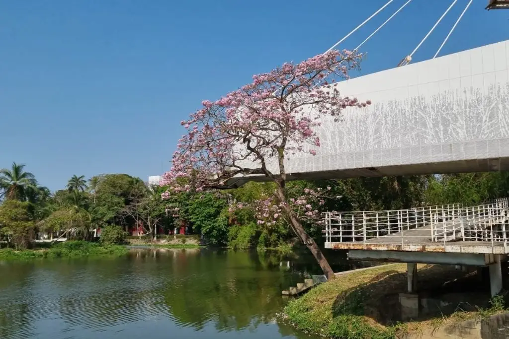 Imagen relacionada a la nota