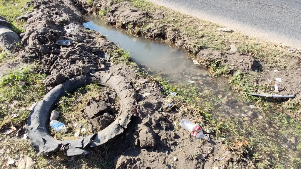 Imagen relacionada a la nota