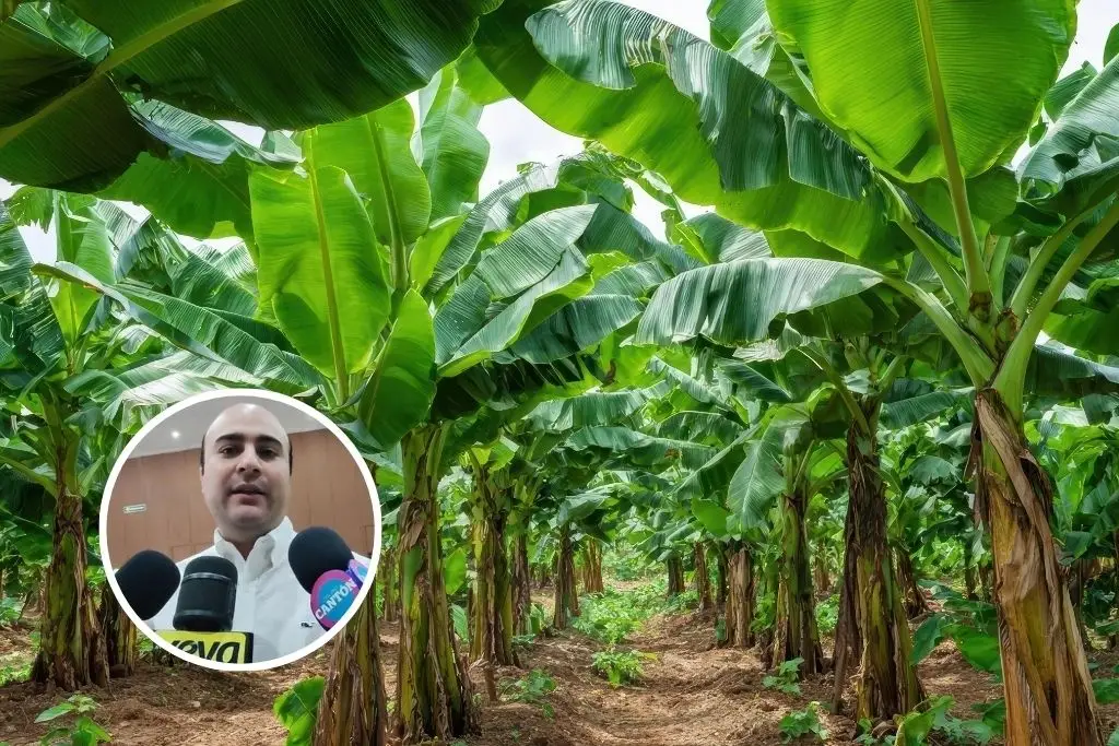 Imagen relacionada a la nota