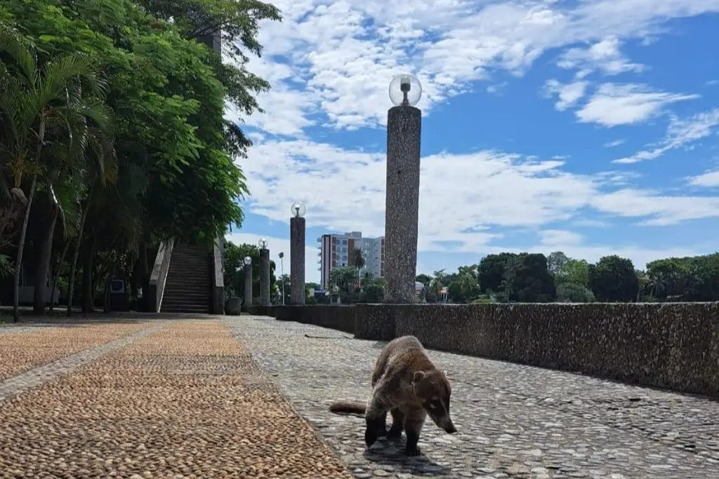 Imagen relacionada a la nota