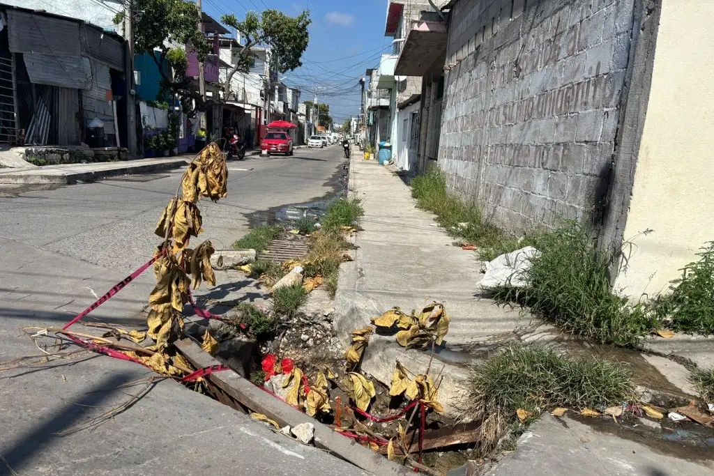 Imagen relacionada a la nota