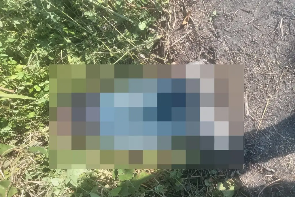 Imagen relacionada a la nota