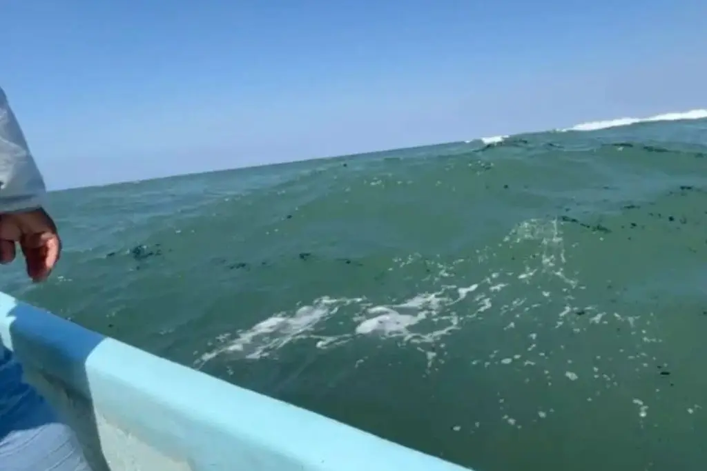 Imagen relacionada a la nota