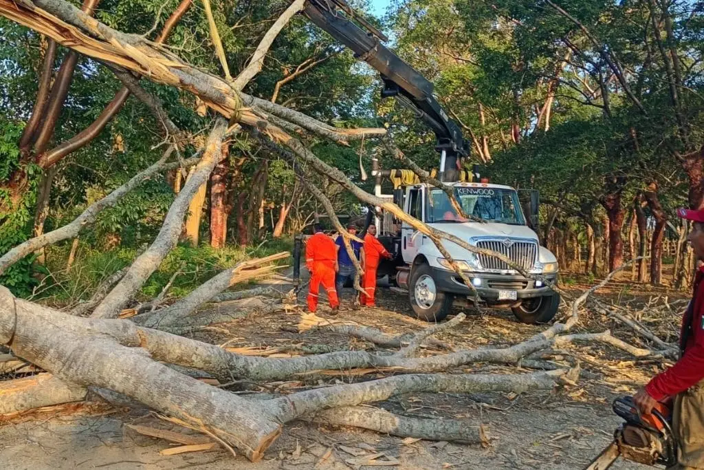 Imagen relacionada a la nota