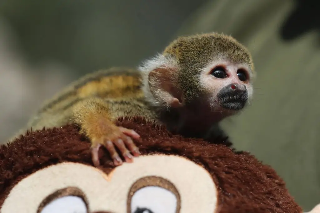 Imagen relacionada a la nota