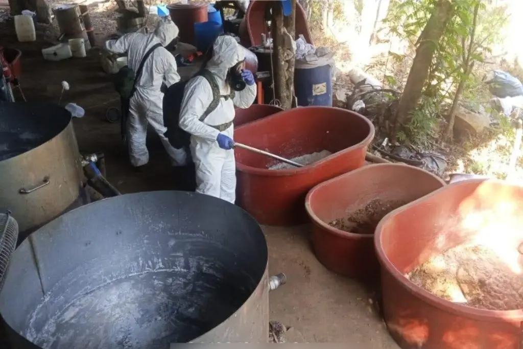 Imagen relacionada a la nota