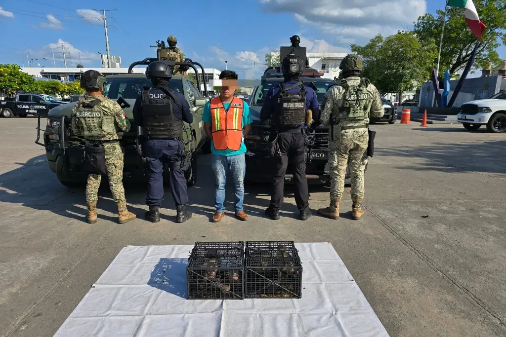 Imagen relacionada a la nota