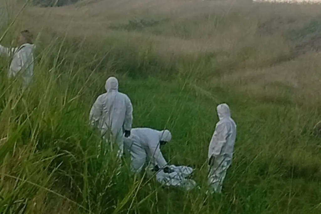 Imagen relacionada a la nota