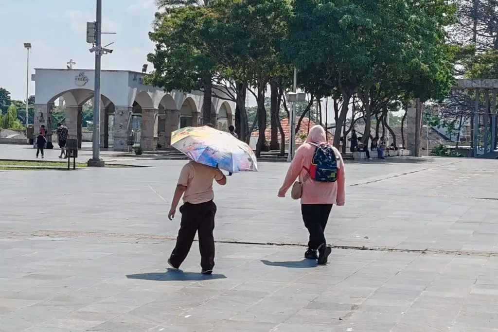 Imagen relacionada a la nota