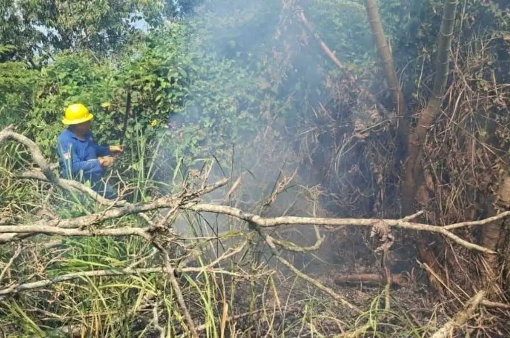 Imagen relacionada a la nota