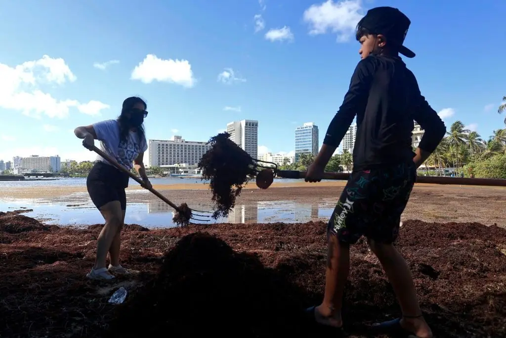 Imagen relacionada a la nota