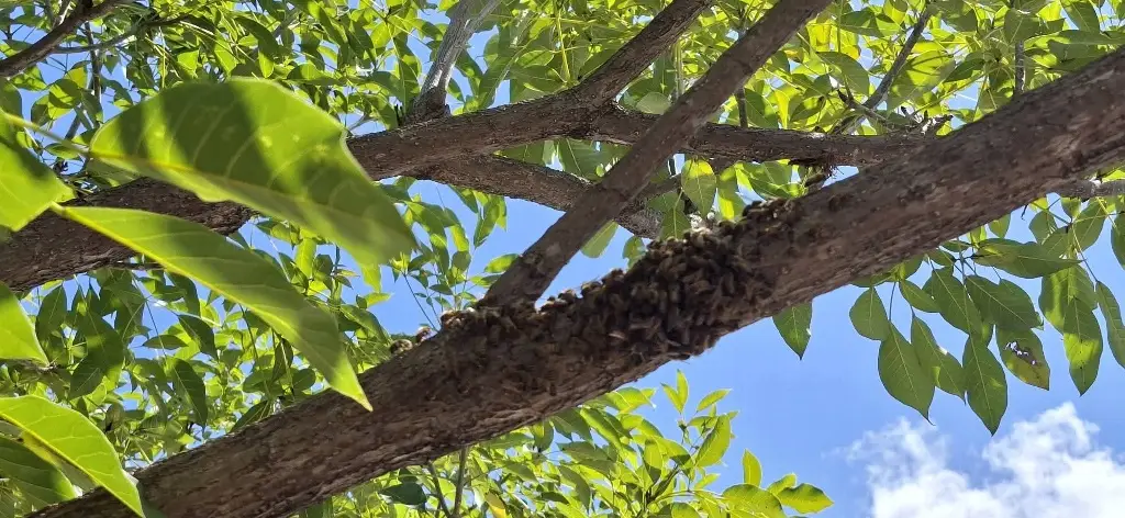 Imagen relacionada a la nota