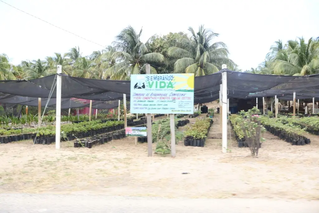 Imagen relacionada a la nota