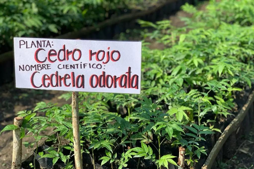 Imagen relacionada a la nota