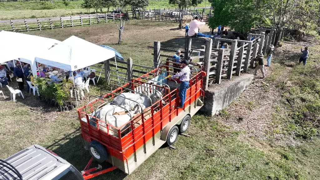 Imagen relacionada a la nota