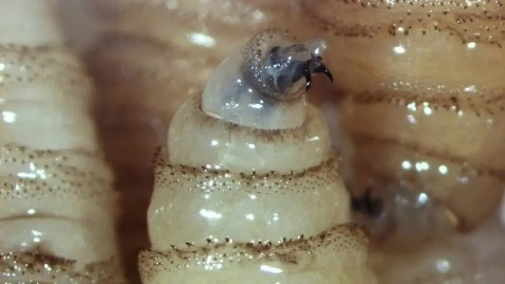 Imagen relacionada a la nota