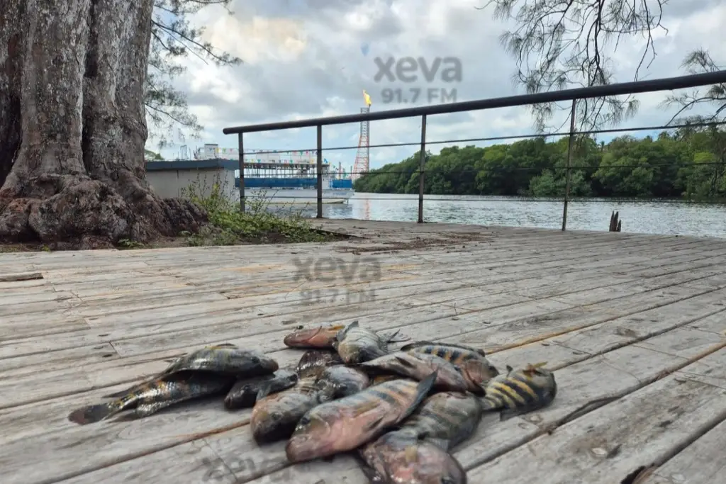 Imagen relacionada a la nota