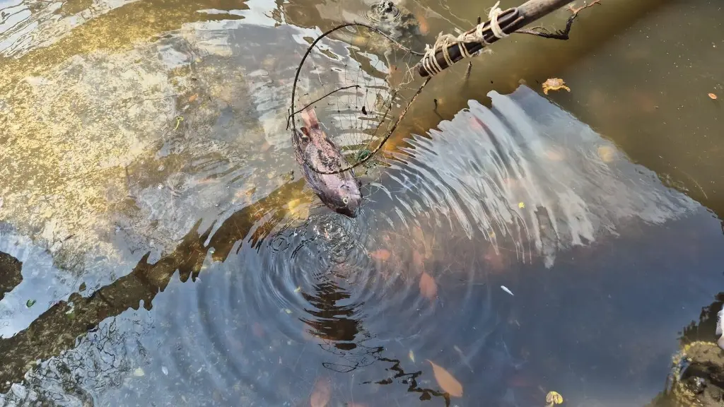 Imagen relacionada a la nota
