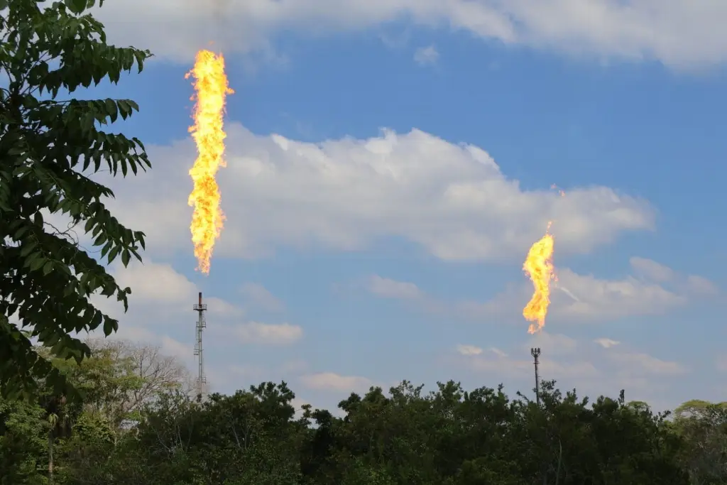 Imagen relacionada a la nota