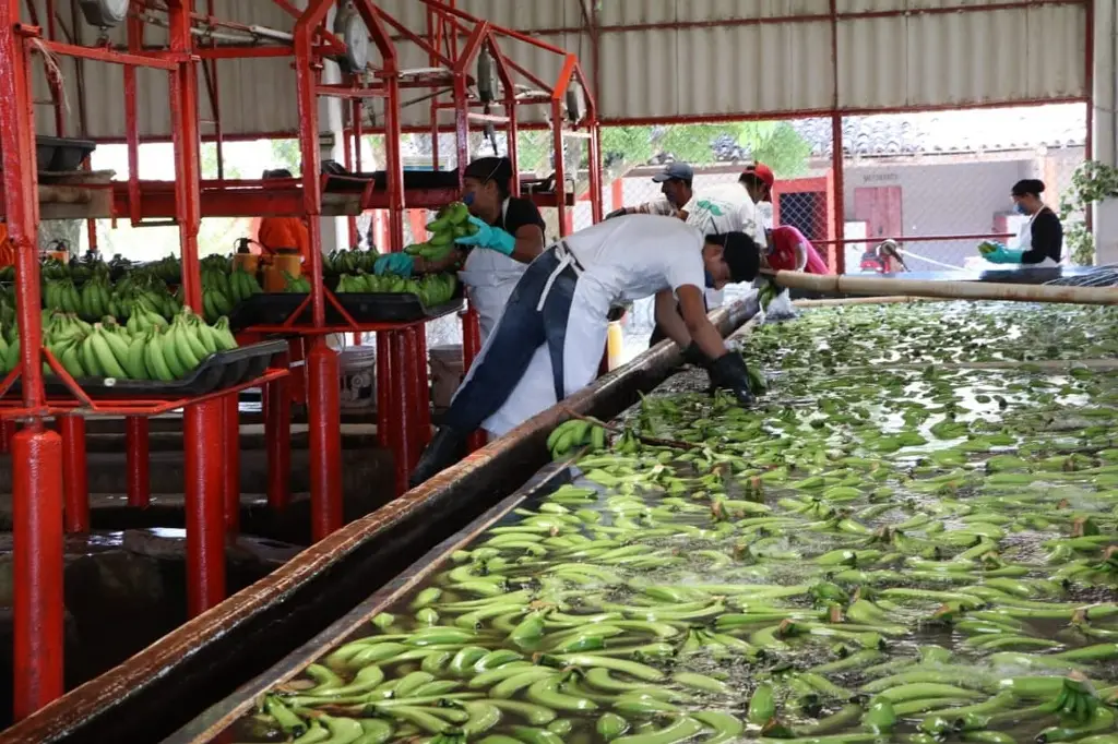 Imagen relacionada a la nota