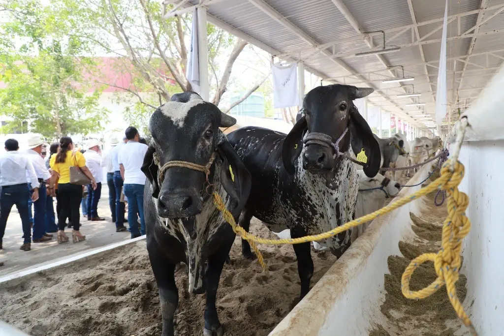 Imagen relacionada a la nota