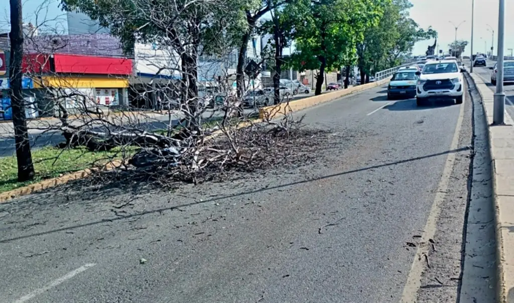 Imagen relacionada a la nota