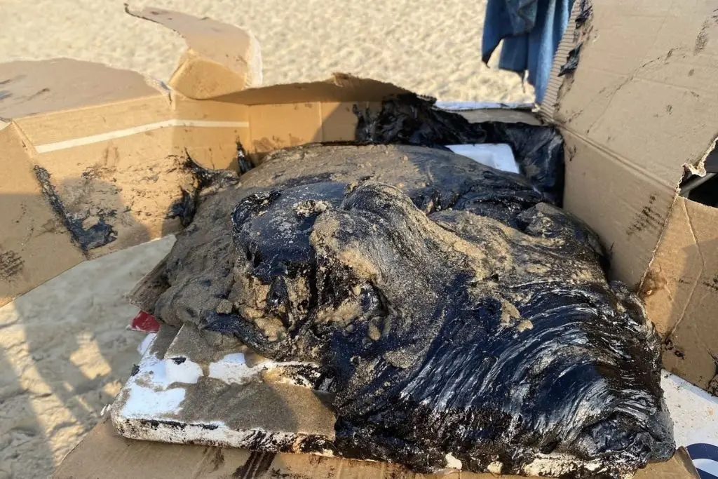 Imagen relacionada a la nota