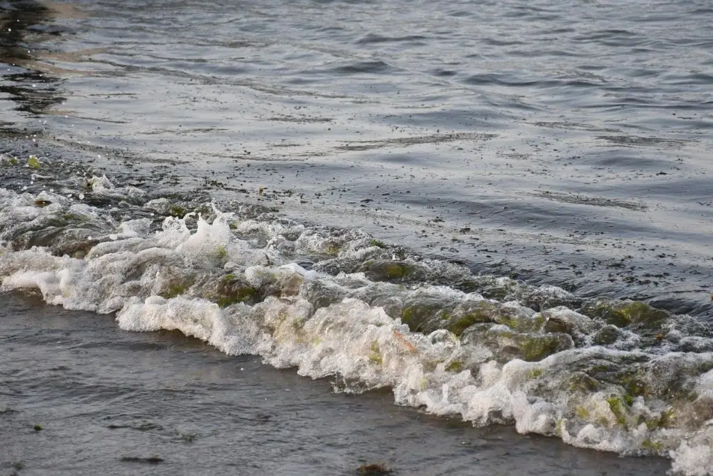 Imagen relacionada a la nota