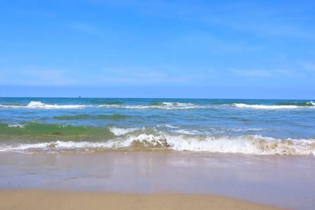 Imagen relacionada a la nota