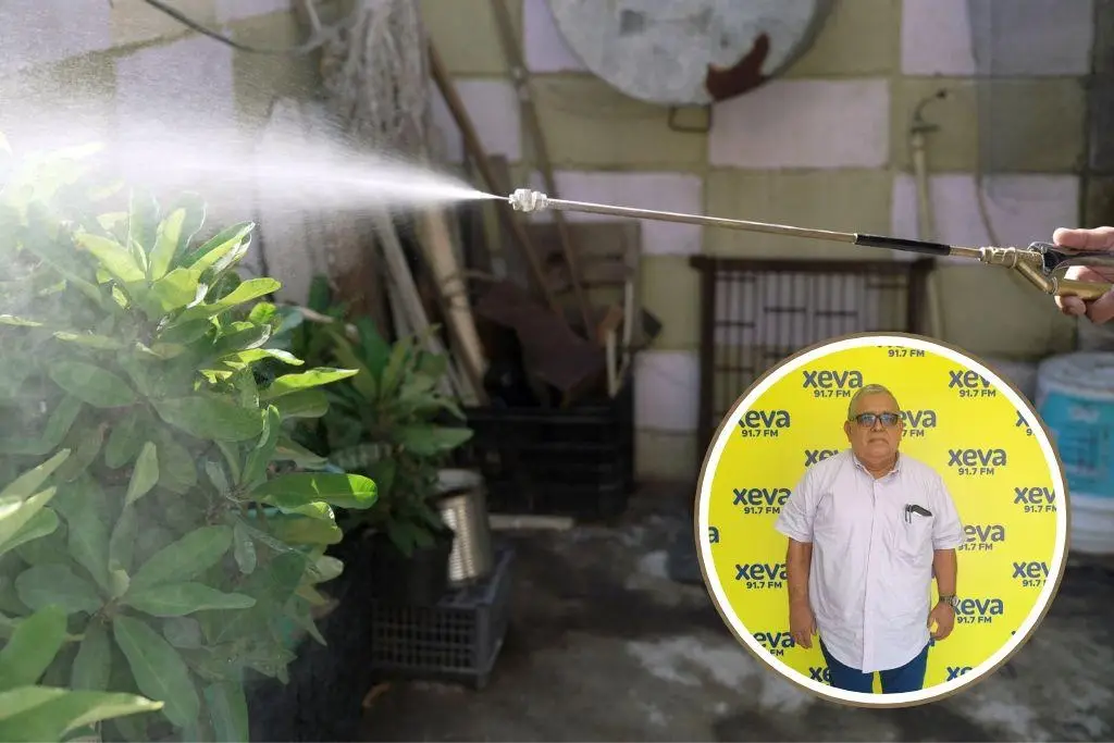 Imagen relacionada a la nota