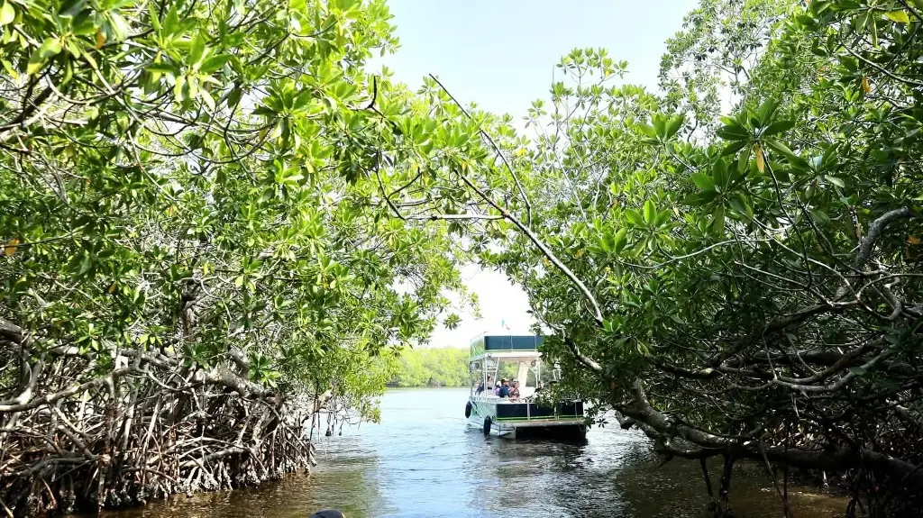 Imagen relacionada a la nota