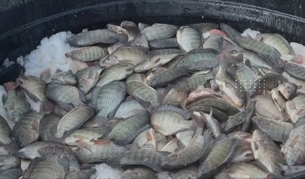 Imagen relacionada a la nota