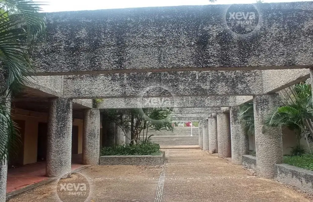 Imagen relacionada a la nota