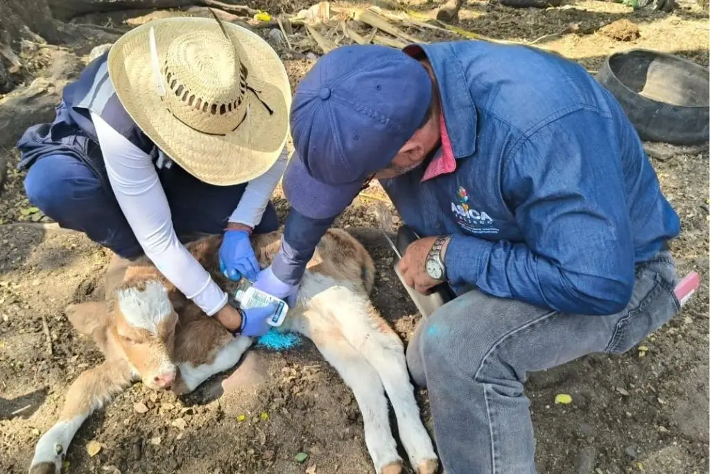 Imagen relacionada a la nota