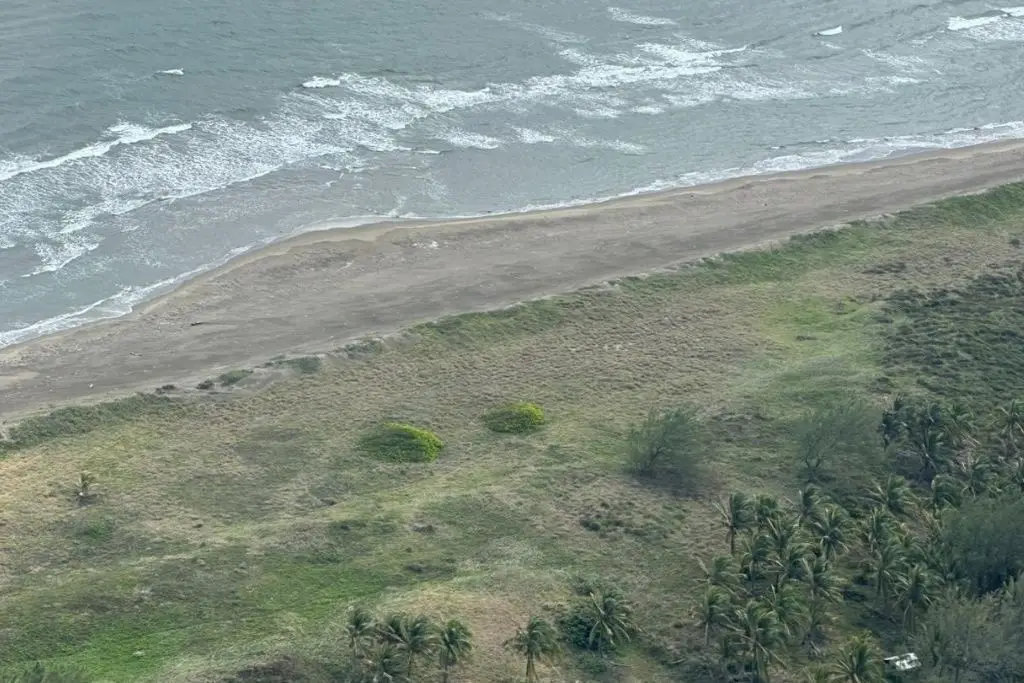 Imagen relacionada a la nota