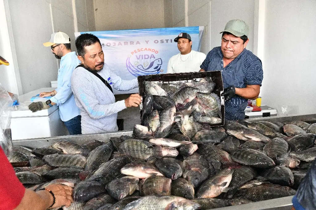 Imagen relacionada a la nota