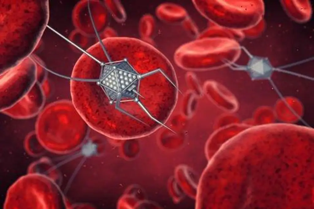 Imagen relacionada a la nota