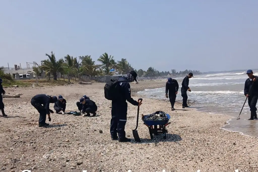 Imagen relacionada a la nota