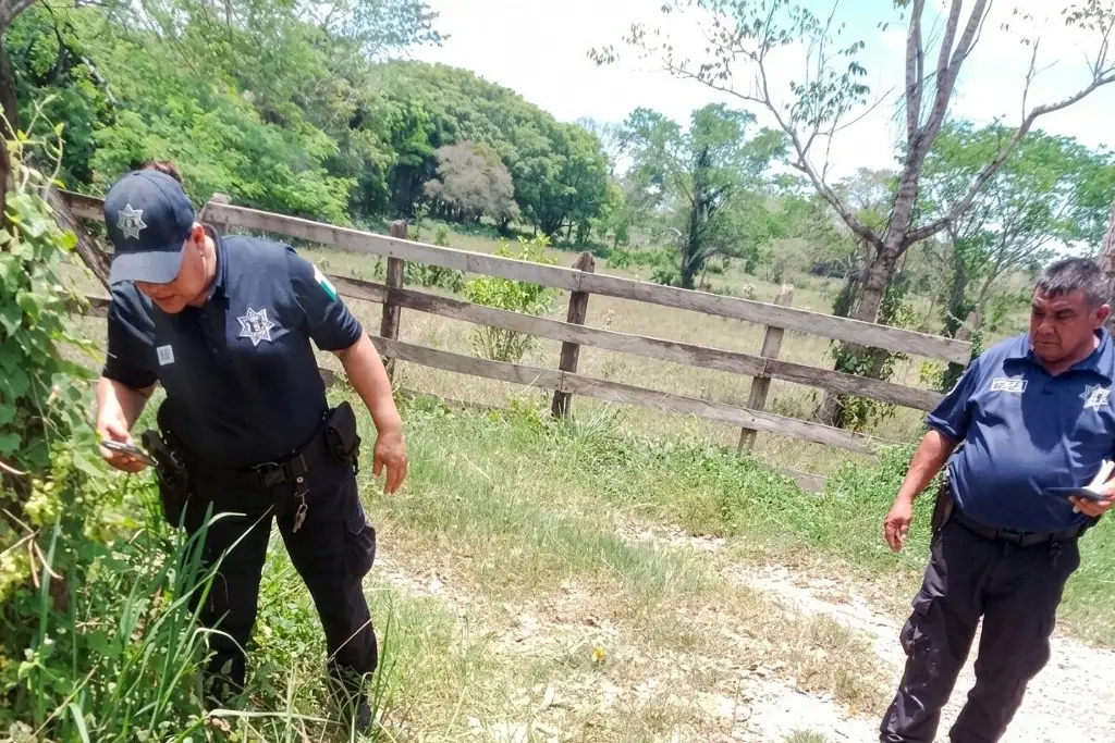 Imagen relacionada a la nota