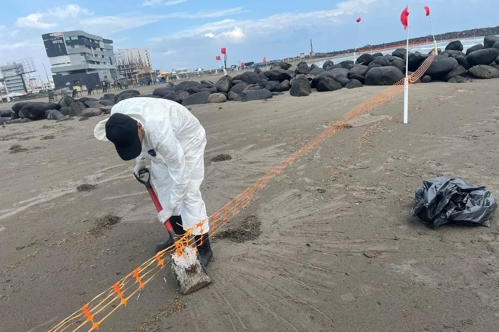 Imagen relacionada a la nota