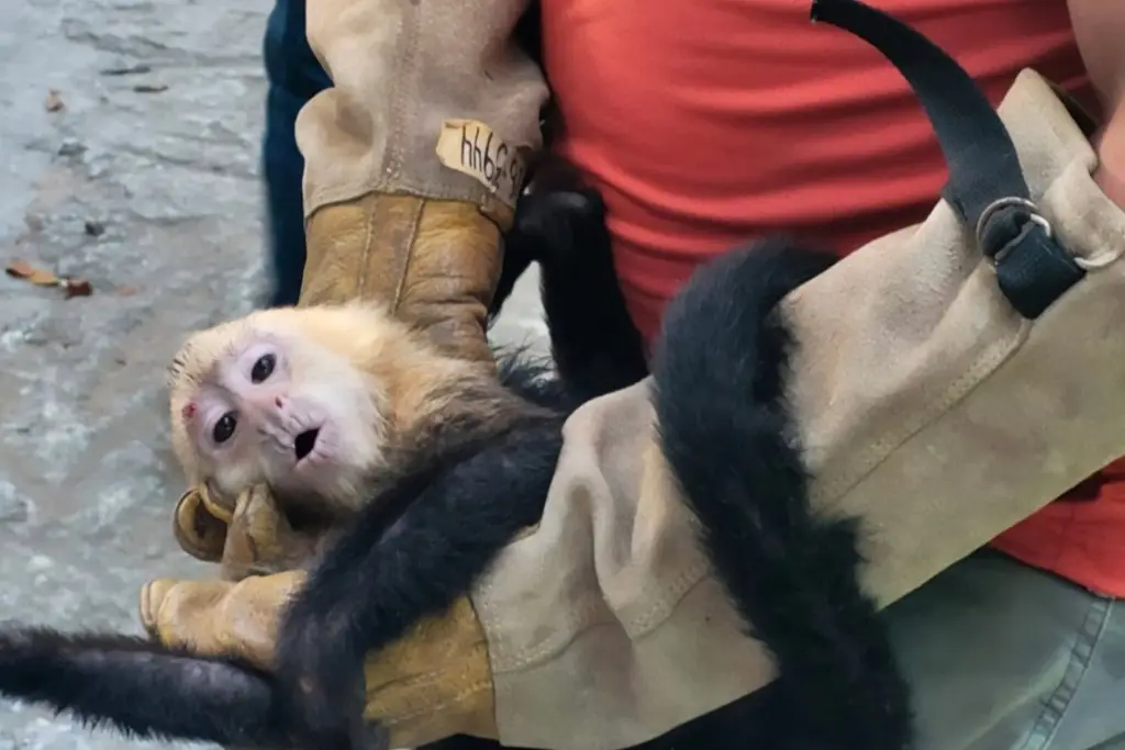 Imagen relacionada a la nota