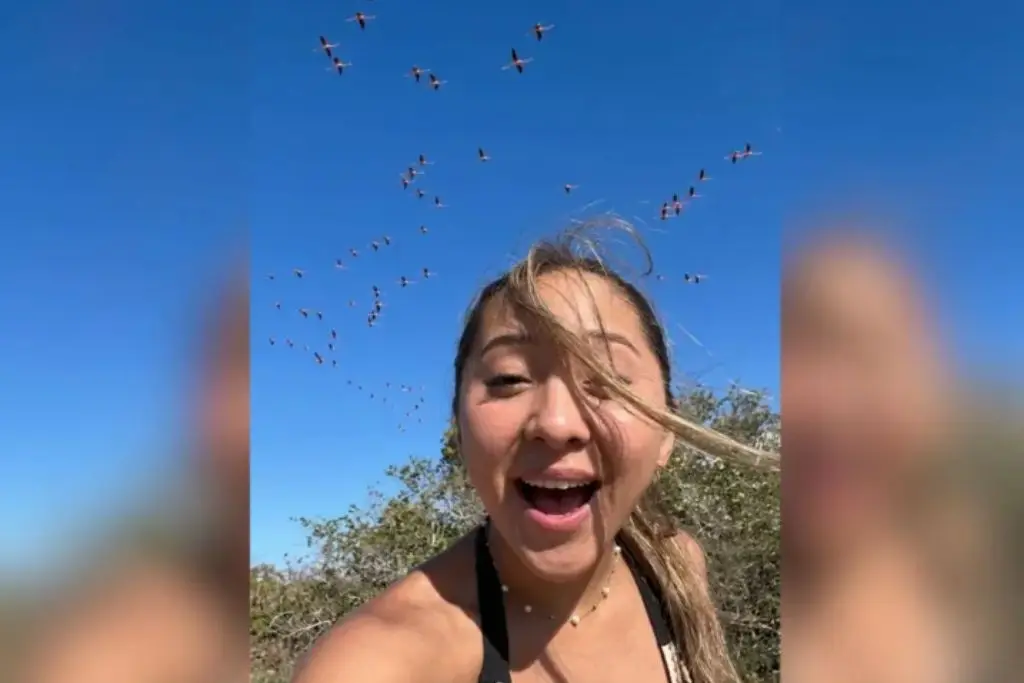 Imagen relacionada a la nota