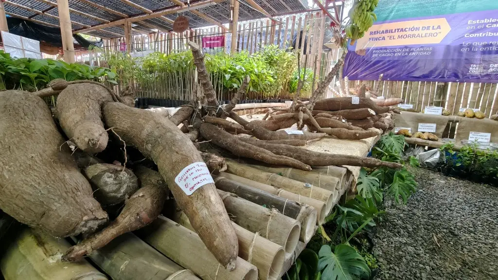 Imagen relacionada a la nota