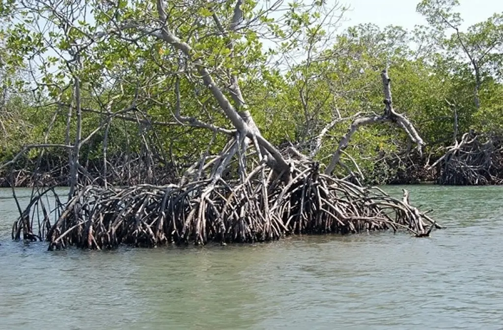 Imagen relacionada a la nota